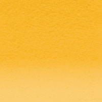 Pastel Pencil Marigold