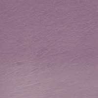 Tinted Charcoal Lavender TC07