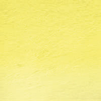 Watercolour Primrose Yellow 04